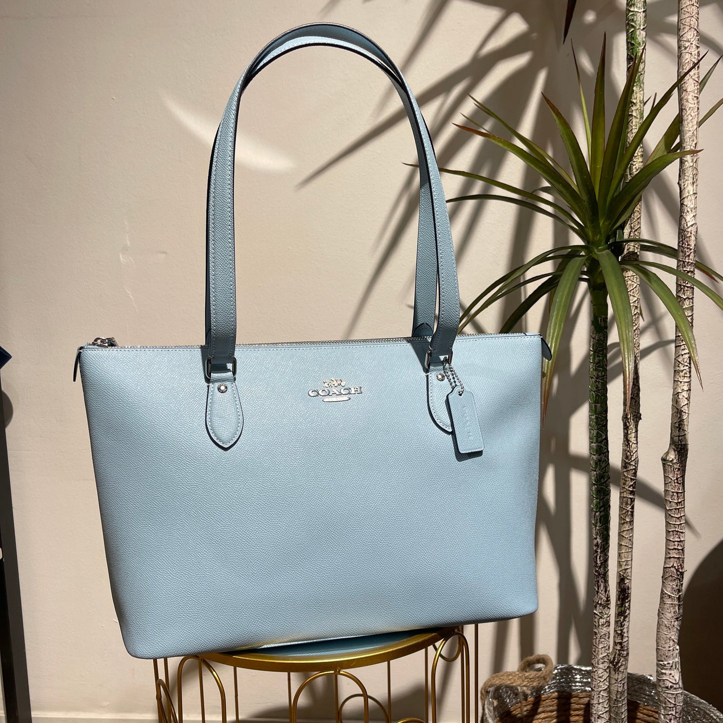 Tote Coach Celeste